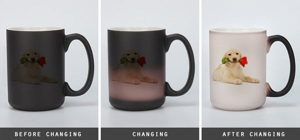 11oz (36 UNIT) Color Changing Coffee Cup Sublimation Mug Magic Mug Thermal Coffee Mug Heating Mug - Tumblerbulk